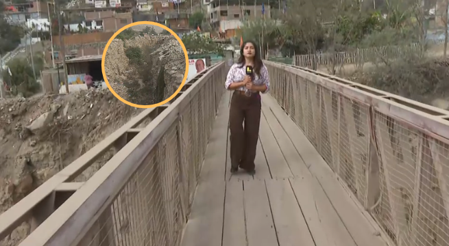 Huarochirí: puente Cashahuacra en peligro por posible activación de quebrada | VIDEO