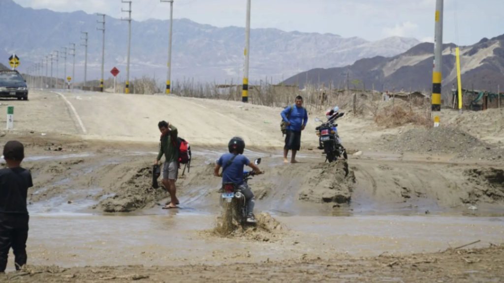 Fenómeno El Niño: solo el 5% de las empresas peruanas ha tomado medidas frente a desastres naturales