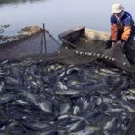 MTPE crea grupo multisectorial para analizar problemáticas en pesca y trabajo ante el Fenómeno El Niño