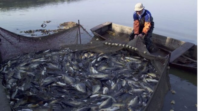 MTPE crea grupo multisectorial para analizar problemáticas en pesca y trabajo ante el Fenómeno El Niño