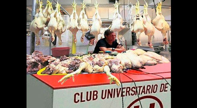 Universitario: Pedro Troglio es víctima de crueles memes tras conferencia de prensa