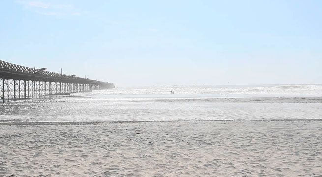 Playas de Pimentel en alerta por picaduras de ‘tapaderas’
