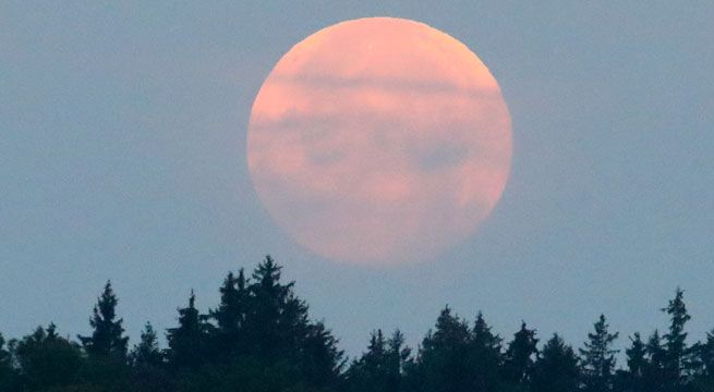 “Súper Luna de Sangre de Lobo” será visible en la costa norte y sur del Perú