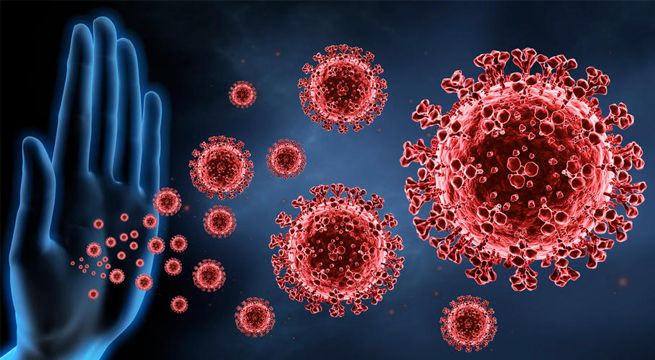 Científicos señalan que es posible adquirir una inmunidad permanente contra el Covid-19