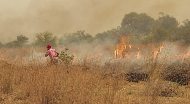 “Una catástrofe”: incendios siguen arrasando provincia argentina de Corrientes