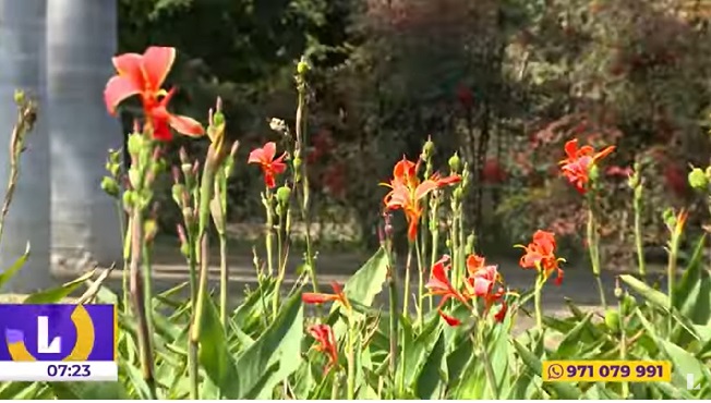 El jardín de los sentidos: un lugar donde las plantas, los aromas y las aves despiertan recuerdos