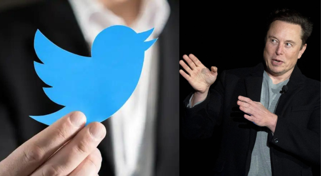 Elon Musk anuncia nueva función en Twitter: “Artículos” que permitirá publicar contenido extenso