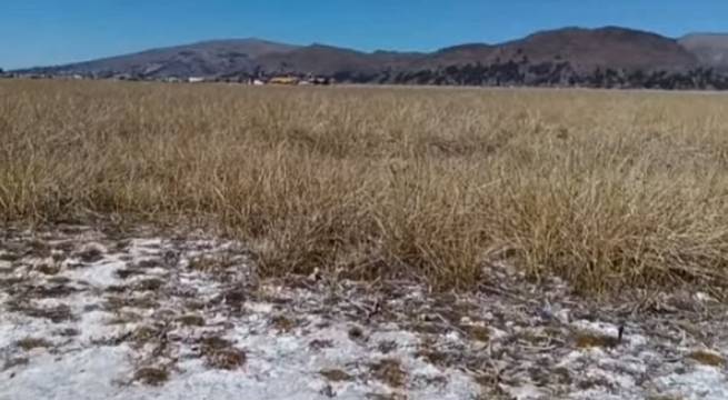 Puno será la región más afectada por déficit hídrico según Midagri