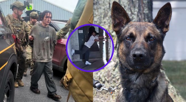 Recaptura de Danelo Cavalcante: perrito dio con el asesino que fugó de cárcel en Pennsylvania