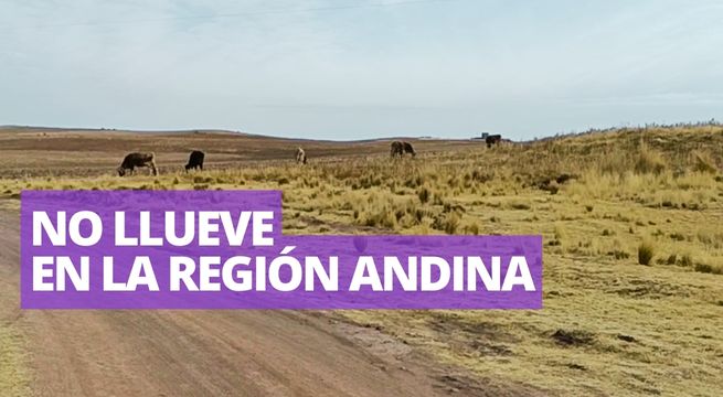 Cámara de Comercio de Puno: “se está viviendo crisis alimentaria por sequías”