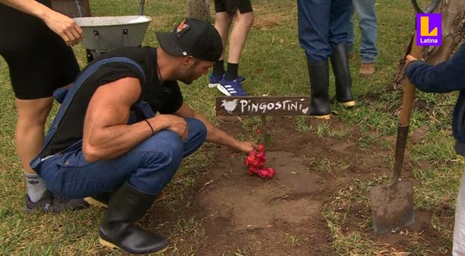 Participantes de Tierra Brava despidieron al gallo bautizado en honor a Agostini tras fallecer repentinamente