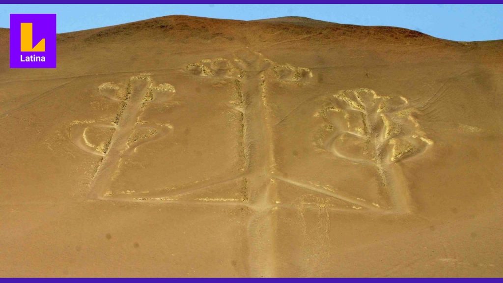 Ministerio de Cultura denuncia que desconocido dañó geoglifo del Candelabro de Paracas