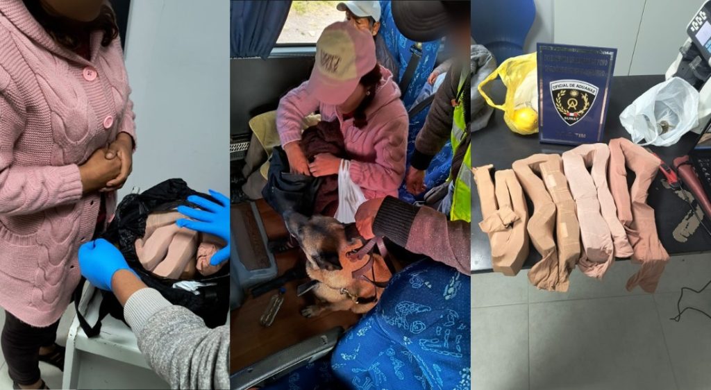 Puno: perro detecta casi medio millón de soles dentro de medias de nailon de pasajera en bus