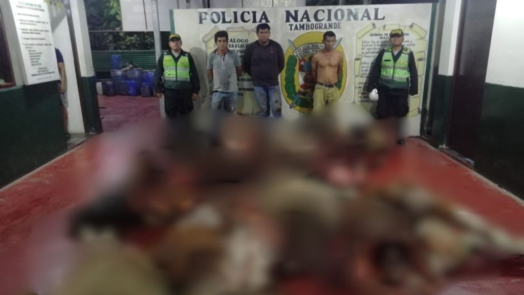 Delincuentes intentaron vender carne robada valorizada en más de 20 mil soles