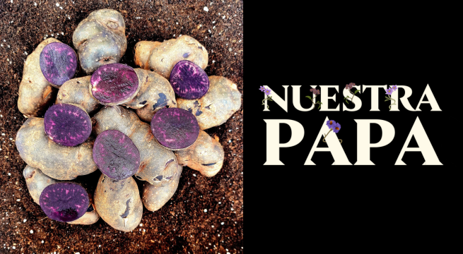 Ministro de Agricultura sobre documental “Nuestra Papa”: “Es un evento histórico”