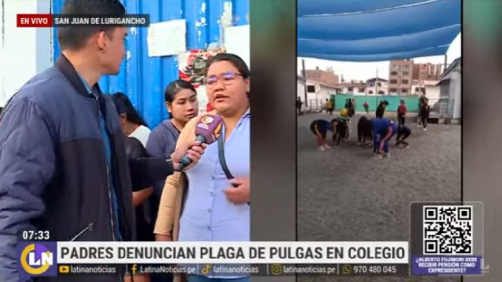 Padres de familia denuncian plaga de pulgas en colegio de SJL: estudiantes terminaron en emergencia