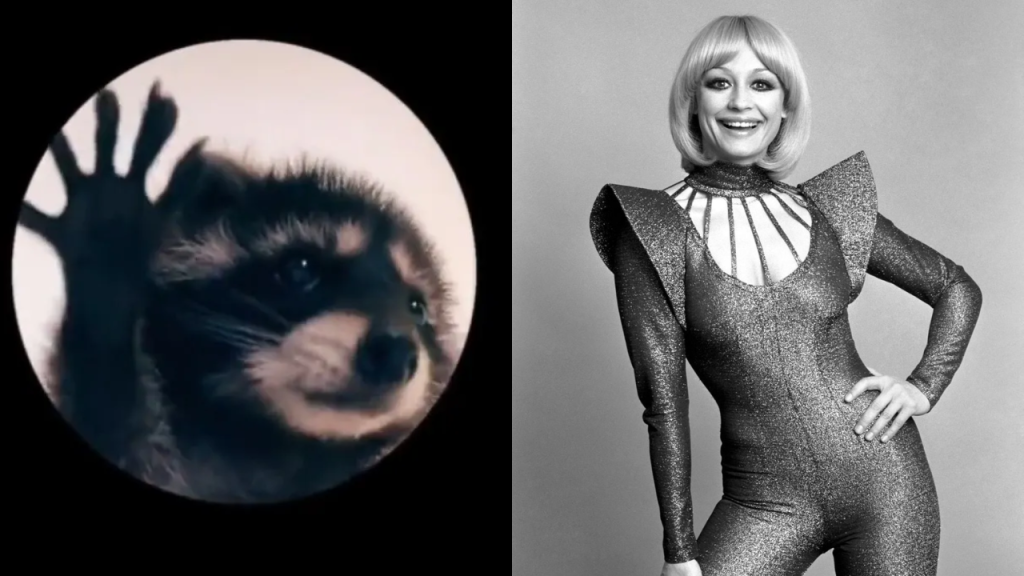 “Pedro, Pedro, Pedro”: esta es la historia detrás del meme viral de TikTok