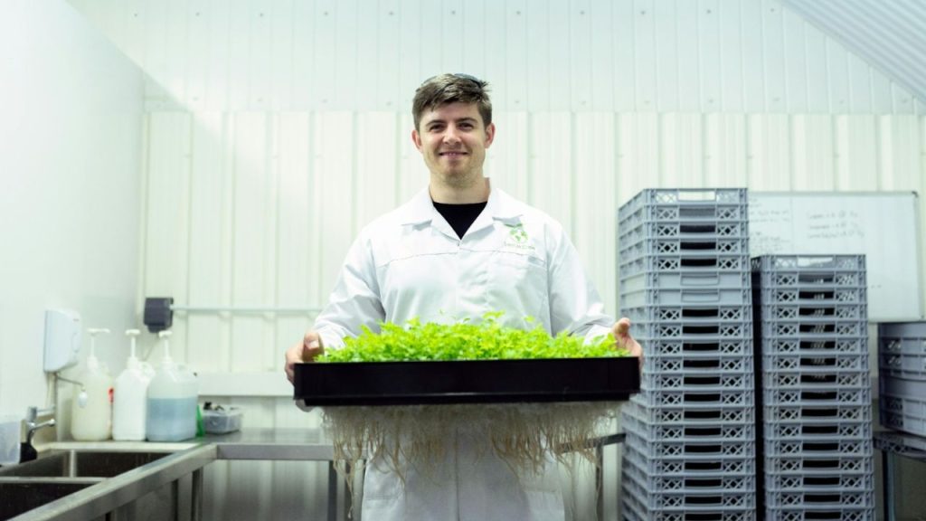 Premio Zayed a la Sostenibilidad: más de 5,900 candidaturas a nivel global