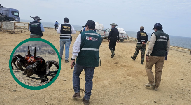 Derrame de petróleo en Piura: Serfor inicia rescate de especies
