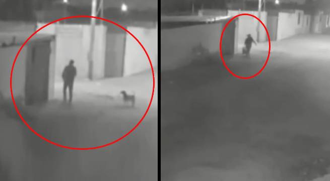 Hombre asesina a perrita que se encontraba en la puerta de su casa