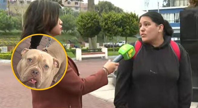 San Juan de Miraflores: vecinos denuncian envenenamiento masivo de perros en residencial