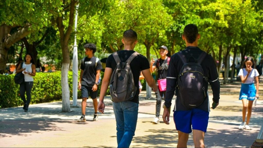 “Nininis” en Perú: más de 1.1 millones de jóvenes no estudian, trabajan ni buscan empleo I VIDEO