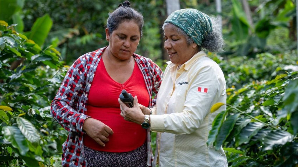 Cientos de productores amazónicos fortalecen su producción libre de deforestación para posicionarse en el mercado europeo