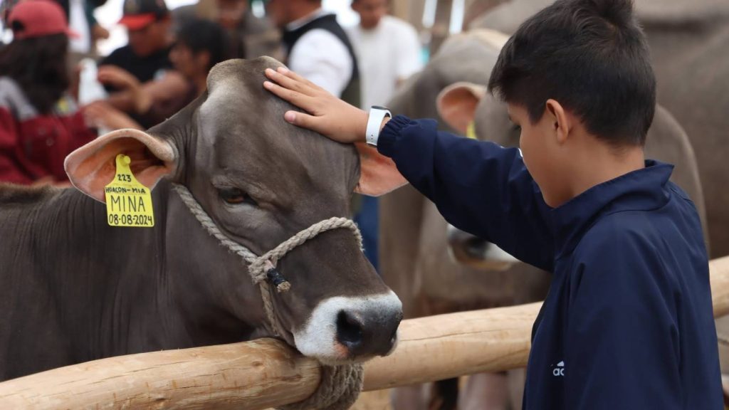 XII Feria Nacional de Ganado Lechero reunirá a ejemplares Holstein y Brown Swiss en Mamacona, Lurín