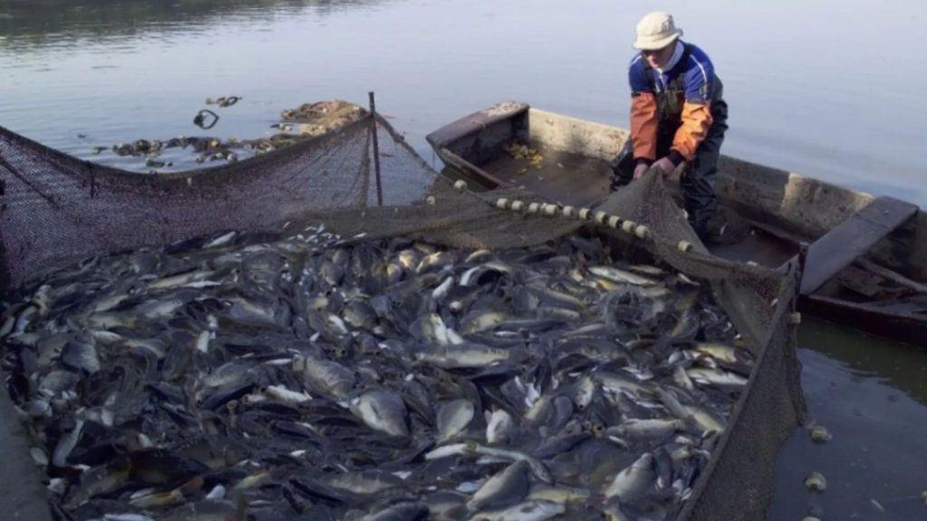 MTPE crea grupo multisectorial para analizar problemáticas en pesca y trabajo ante el Fenómeno El Niño